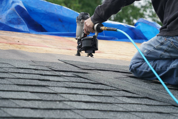 Best Roof Insulation Installation  in Mahnomen, MN